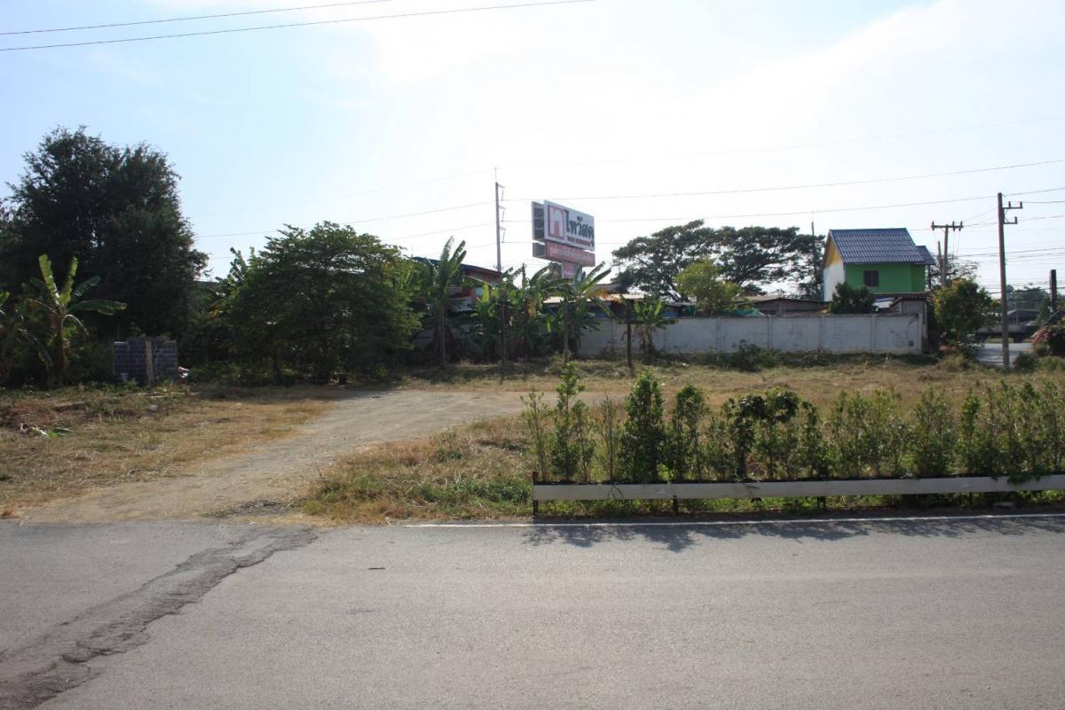 For SaleLandPak Chong KhaoYai : Land for sale, Thanat Khao Yai Road