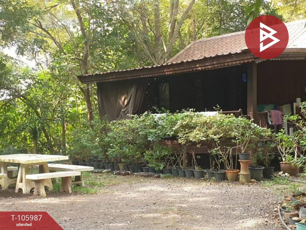 For SaleLandSaraburi : Land for sale with buildings, area 8 rai 32.7 sq.w. The Red Viharn, Saraburi