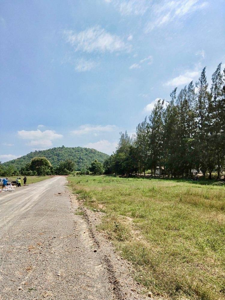 ขายที่ดินราชบุรี : ขายที่ดินเปล่า2 ไร่ แปลงมุม อยู่ในรีสอร์ทบ้านวิวเขาสน @ รางบัว ตำบลรางบัว อำเภอจอมบึง ราชบุรี