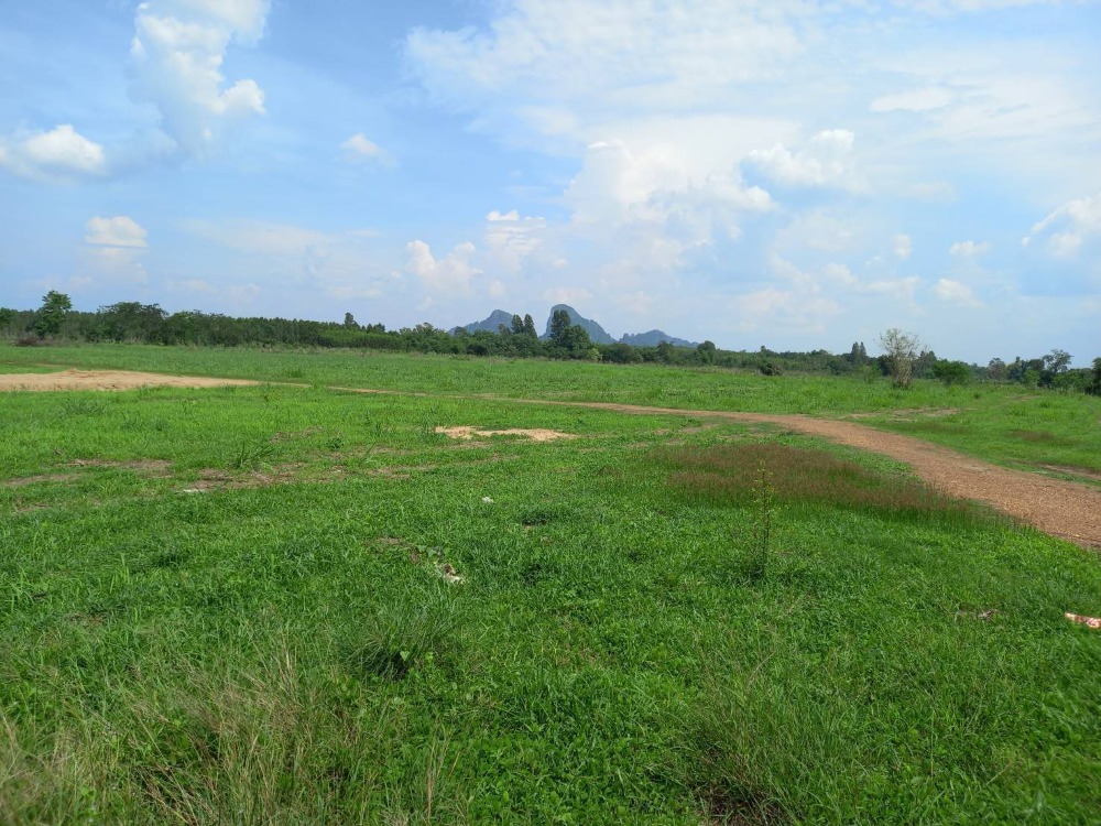 For SaleLandSa Kaeo : Sell ​​7 adjacent land for 53 rai 3 ngan 48 sq.m. Khao Chakan District  Khao Chakan District  Sa Kaeo Province