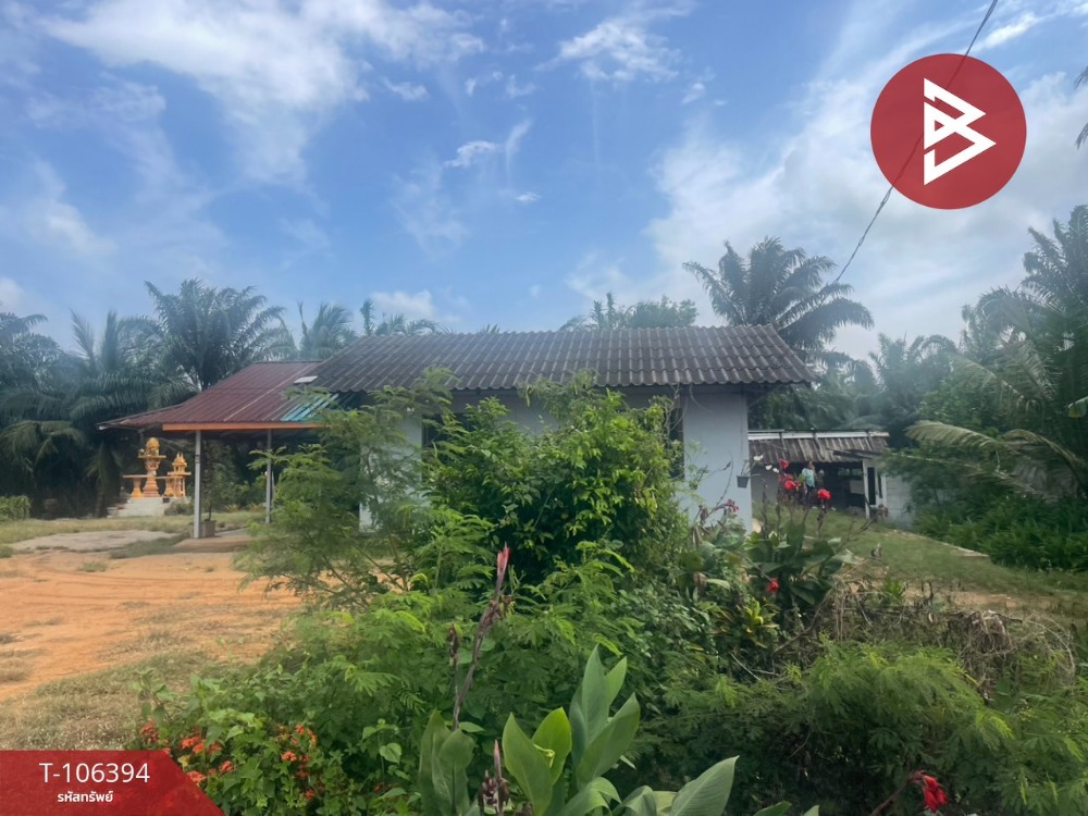 For SaleLandChumphon : Land for sale in an area of ​​20 rai 3 ngan 74 sq.wah, Lang Suan Chumphon