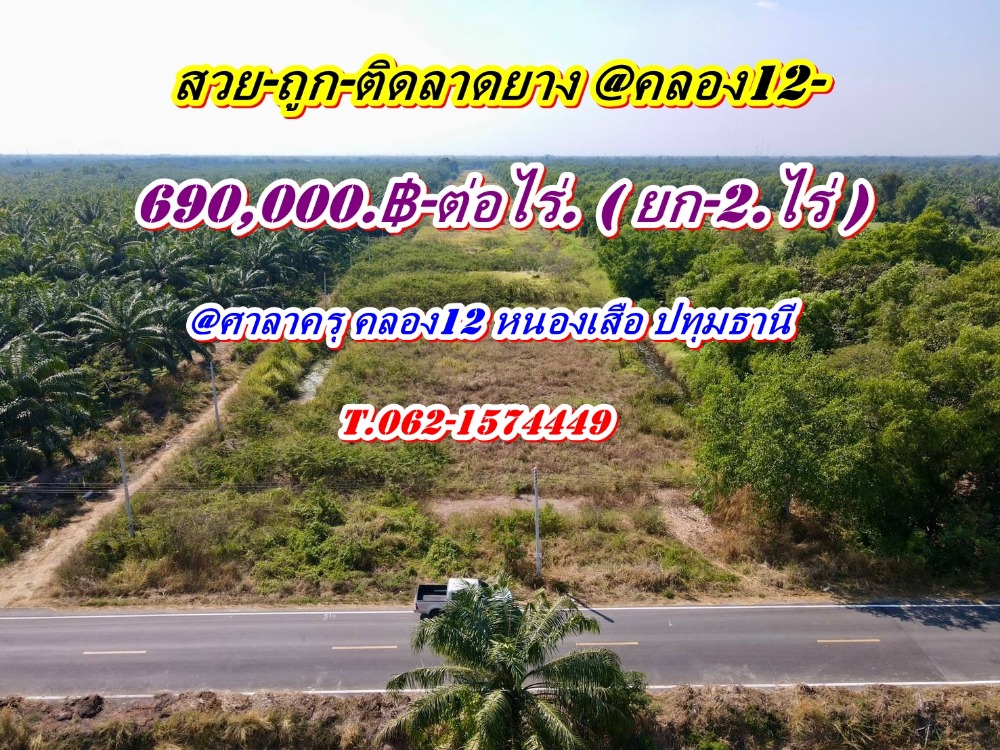 For SaleLandPathum Thani,Rangsit, Thammasat : Beautiful land, good location on the asphalt@Khlong 12, Nong Suea, Sala Khru, Khlong 12, Nong Suea, Pathum Thani Province, T.062-1574449