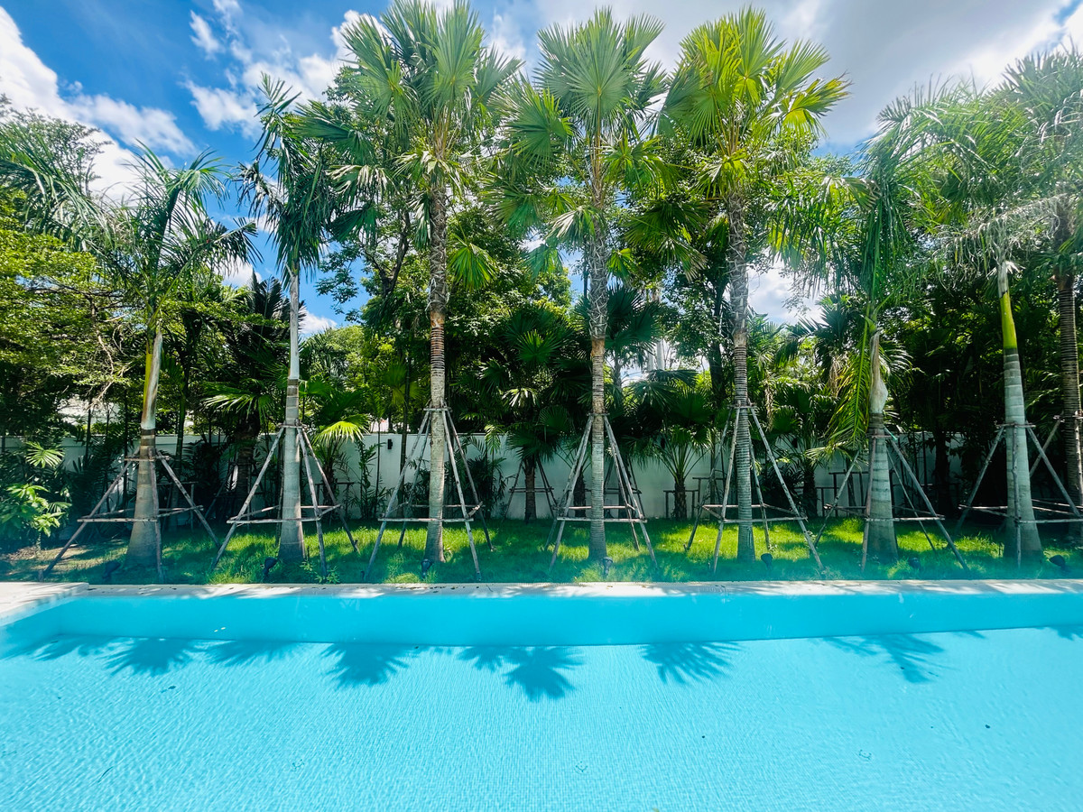 For SaleHouseVipawadee, Don Mueang, Lak Si : 🏡 🌴 🥰 Brand-New Architect-Designed Luxury Pool Villa in Beverly Hills Chaeng Wattana 