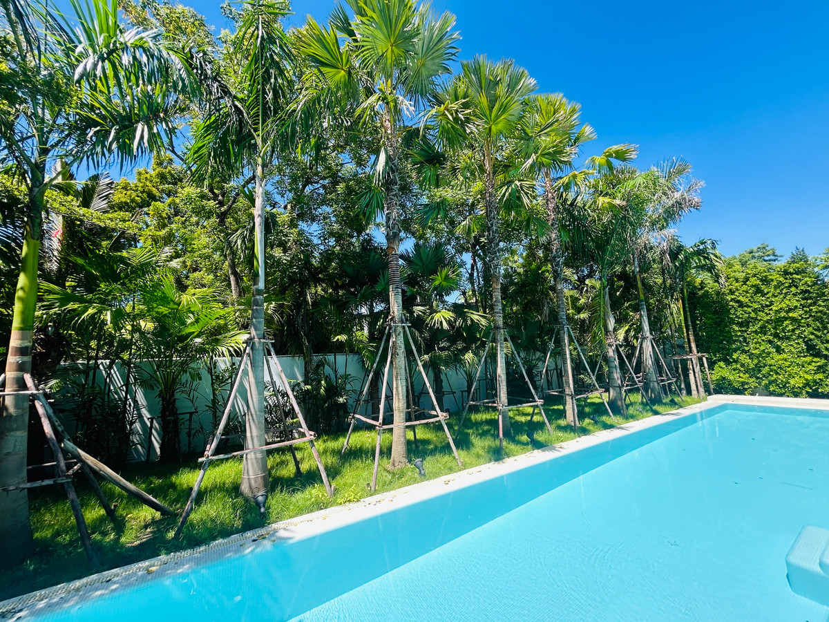 For SaleHouseVipawadee, Don Mueang, Lak Si : 🏡 🌴 🥰 Brand-New Architect-Designed Luxury Pool Villa in Beverly Hills Chaeng Wattana 