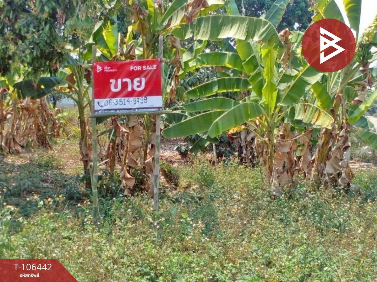 ขายที่ดินพะเยา : ขายที่ดินเปล่า เนื้อที่ 2 งาน 60.7 ตร.วา เชียงคำ พะเยา