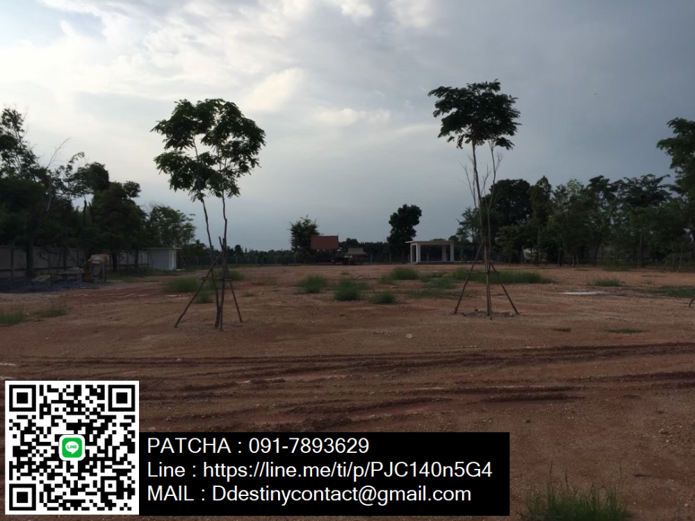 For SaleLandChachoengsao : Land for sale Natural area Good environment, community, next to the Bang Prakong River, Chachoengsao