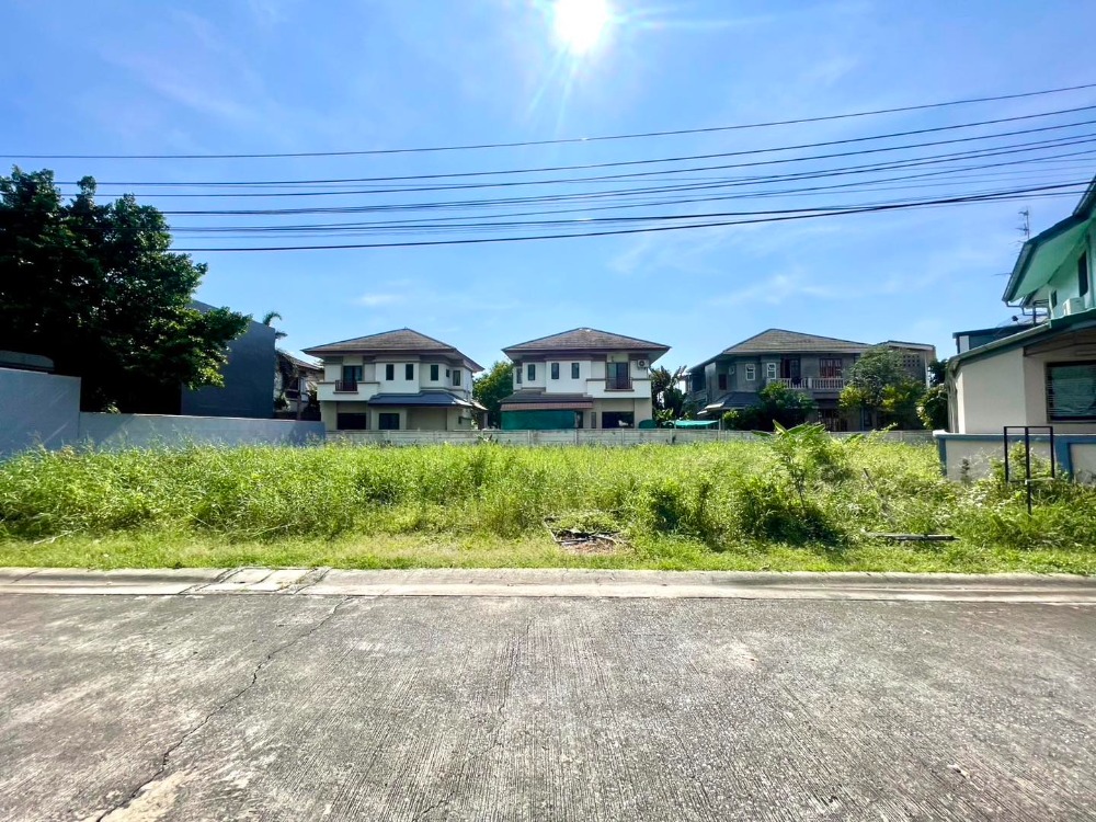 For SaleLandRama5, Ratchapruek, Bangkruai : Land for sale 159 sq. Rama 5 - Kanchanaphisek near Denla Rama 5 School