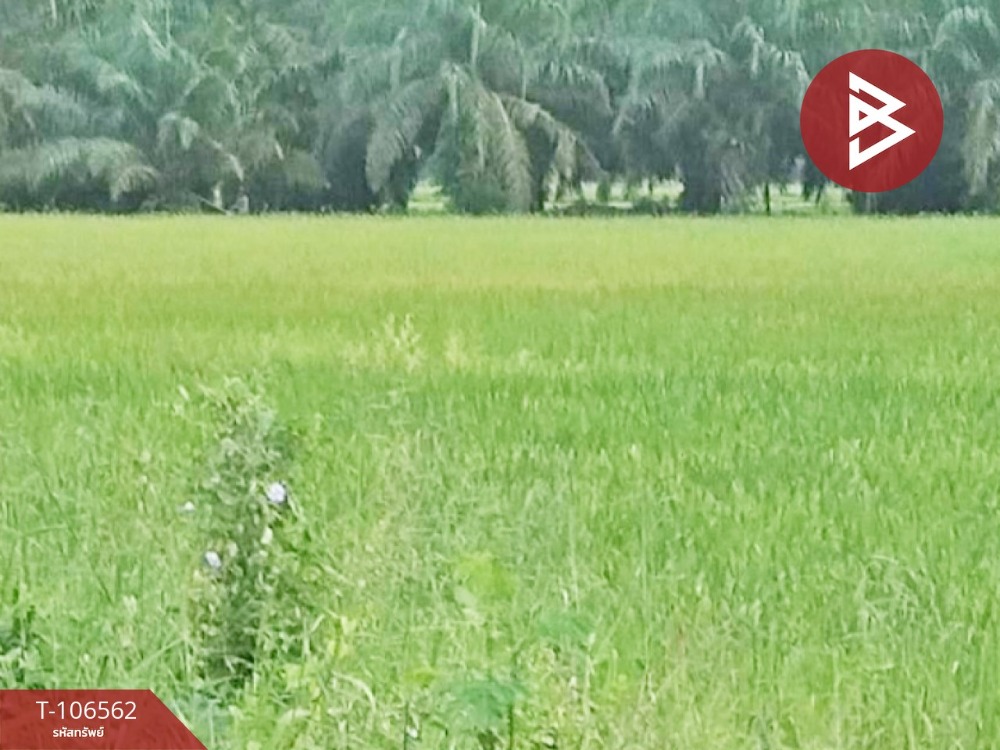 For SaleLandHatyai Songkhla : Land for sale, area of ​​3 rai 3 ngan 6 sq.wah Ranot, Songkhla