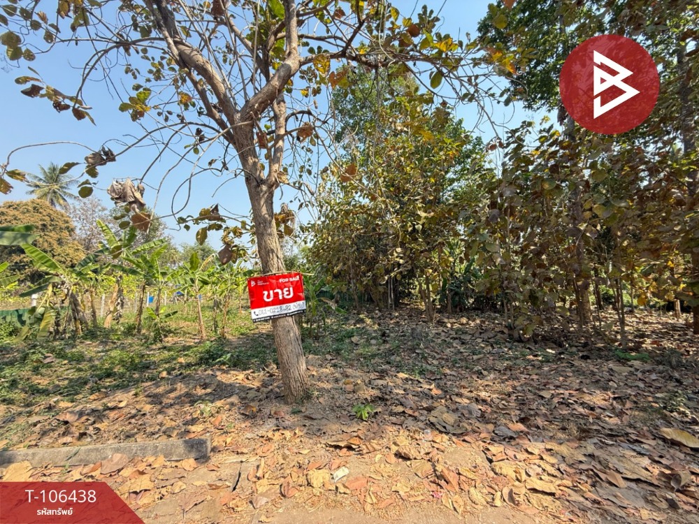 For SaleLandUttaradit : Land for sale, area 2 jobs, 51.3 sq.what, Laplae Uttaradit