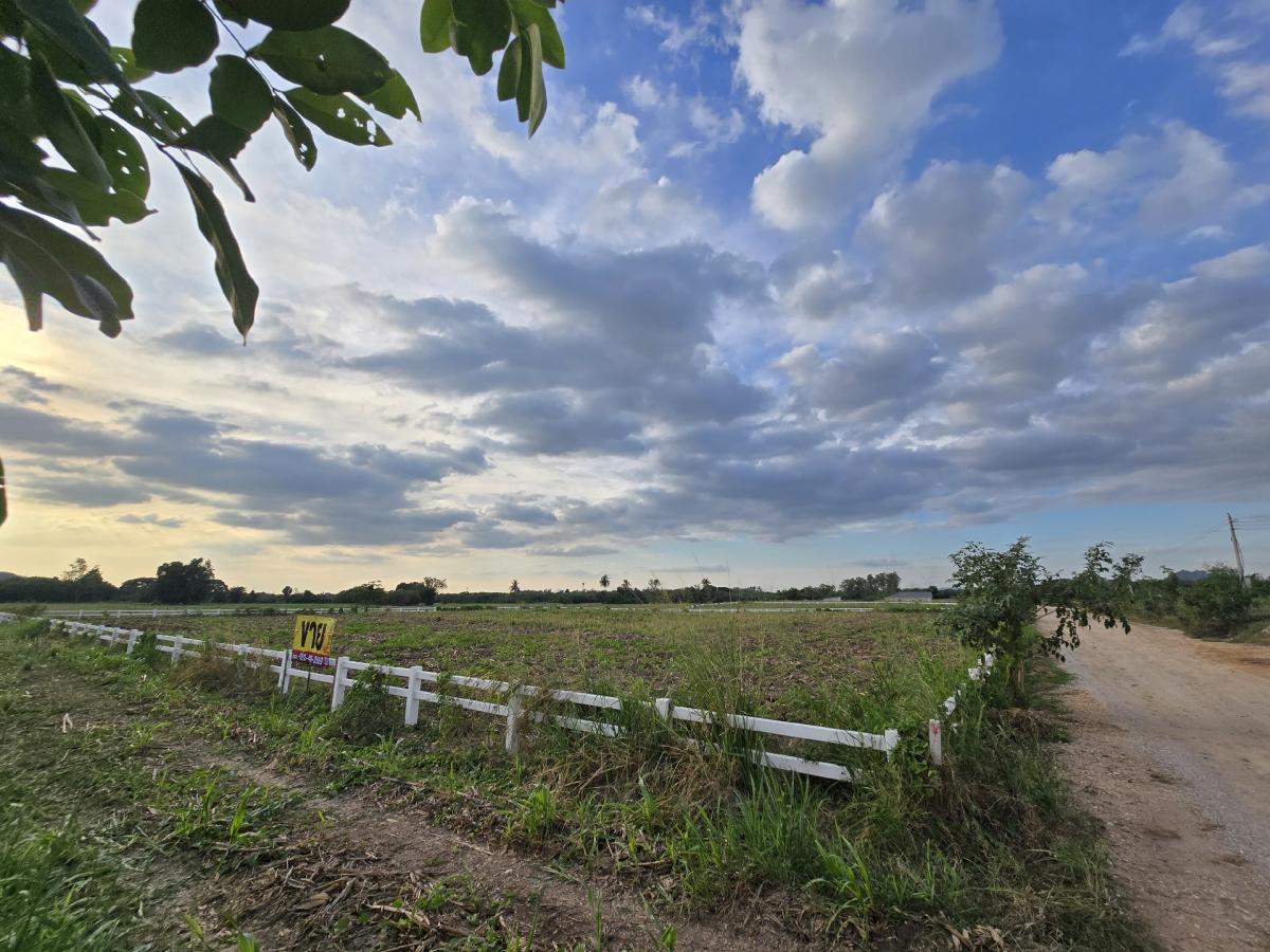 ขายที่ดินสระบุรี : ขายที่ดิน