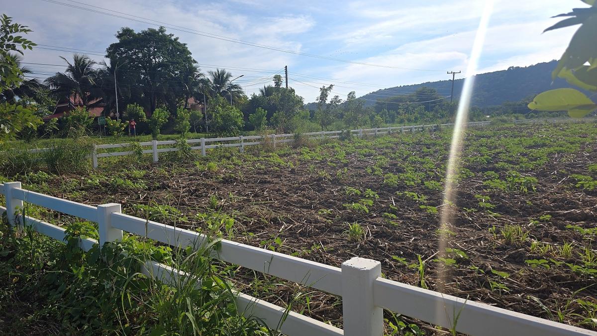 ขายที่ดินสระบุรี : ขายที่ดิน