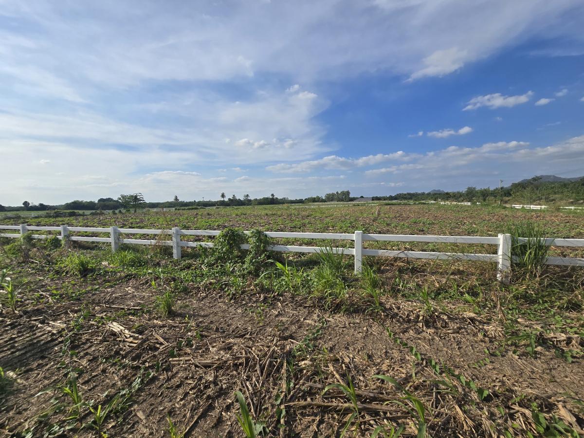 ขายที่ดินสระบุรี : ขายที่ดิน