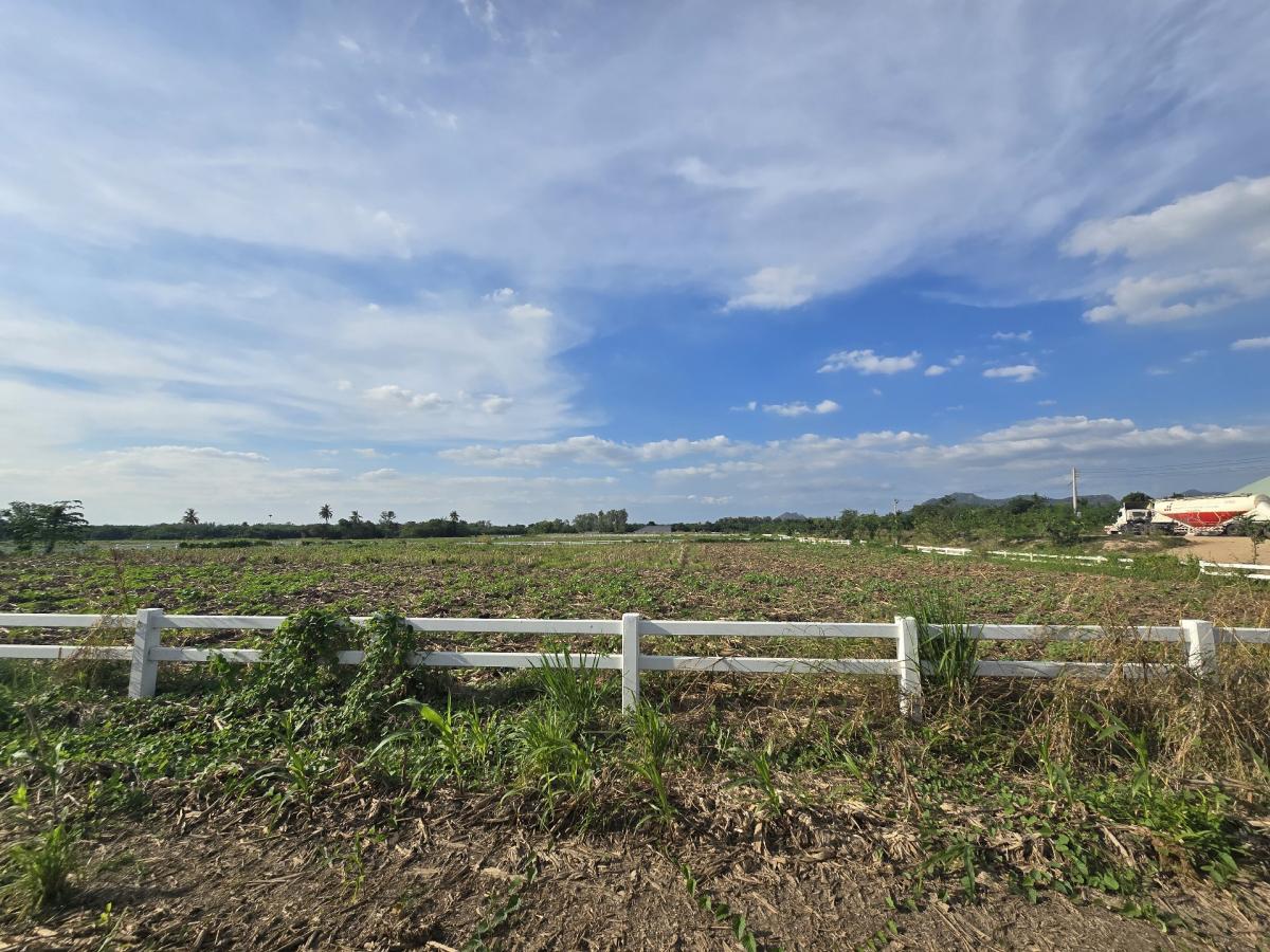 ขายที่ดินสระบุรี : ขายที่ดิน