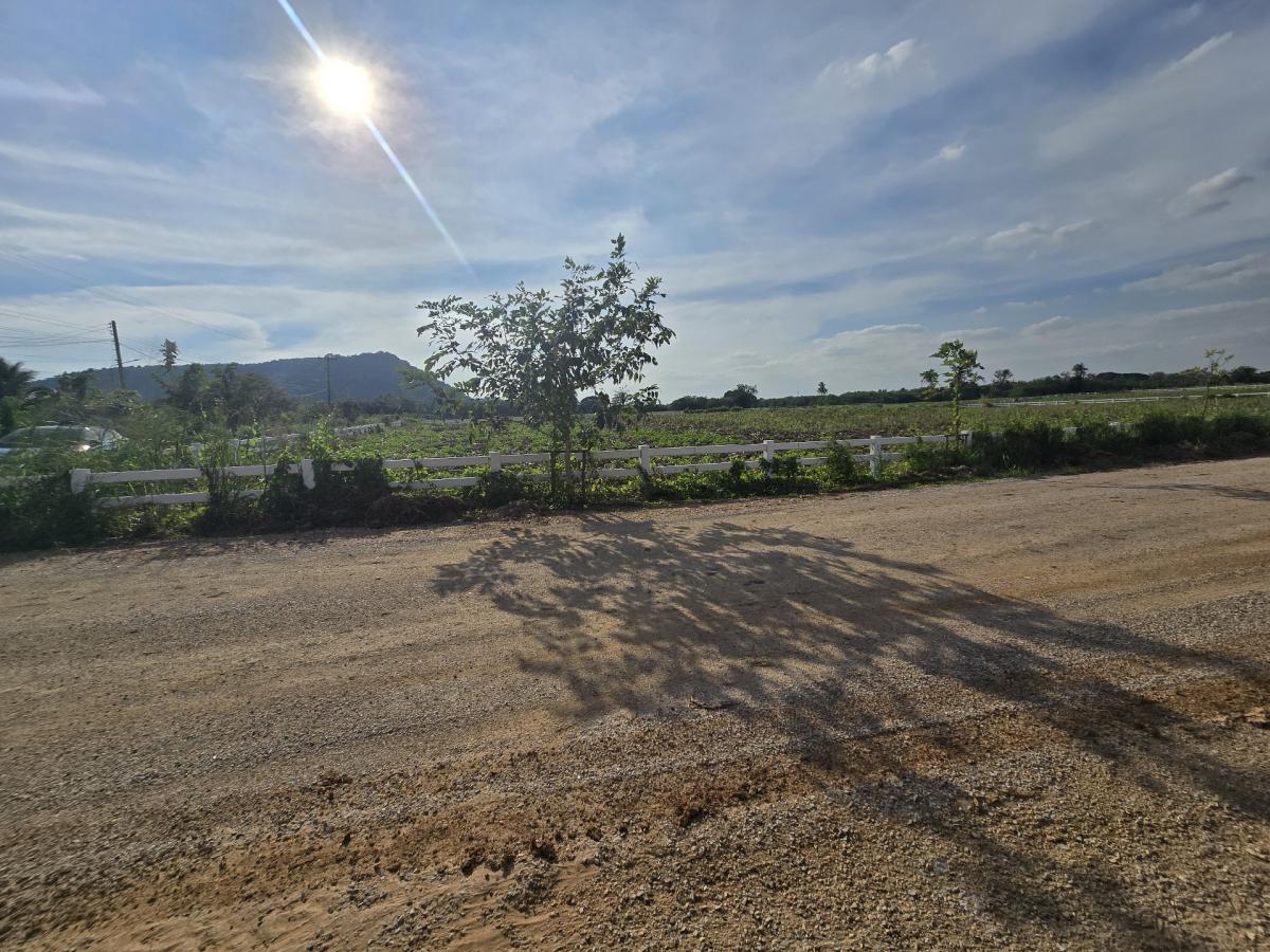 ขายที่ดินสระบุรี : ขายที่ดิน