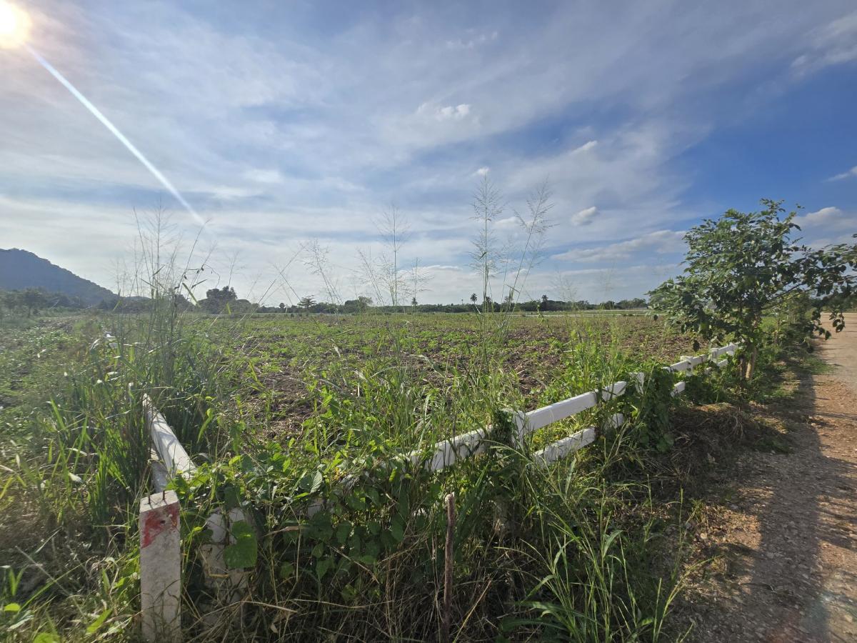 ขายที่ดินสระบุรี : ขายที่ดิน