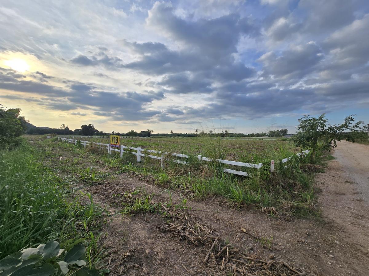 ขายที่ดินสระบุรี : ขายที่ดิน