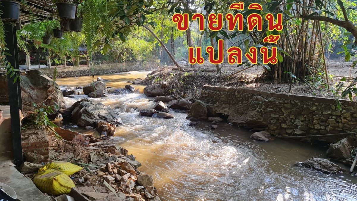 ขายที่ดินเชียงใหม่ : 📣ขายที่ดินสวยริมน้ำ แม่สา อ.แม่ริม จ.เชียงใหม่