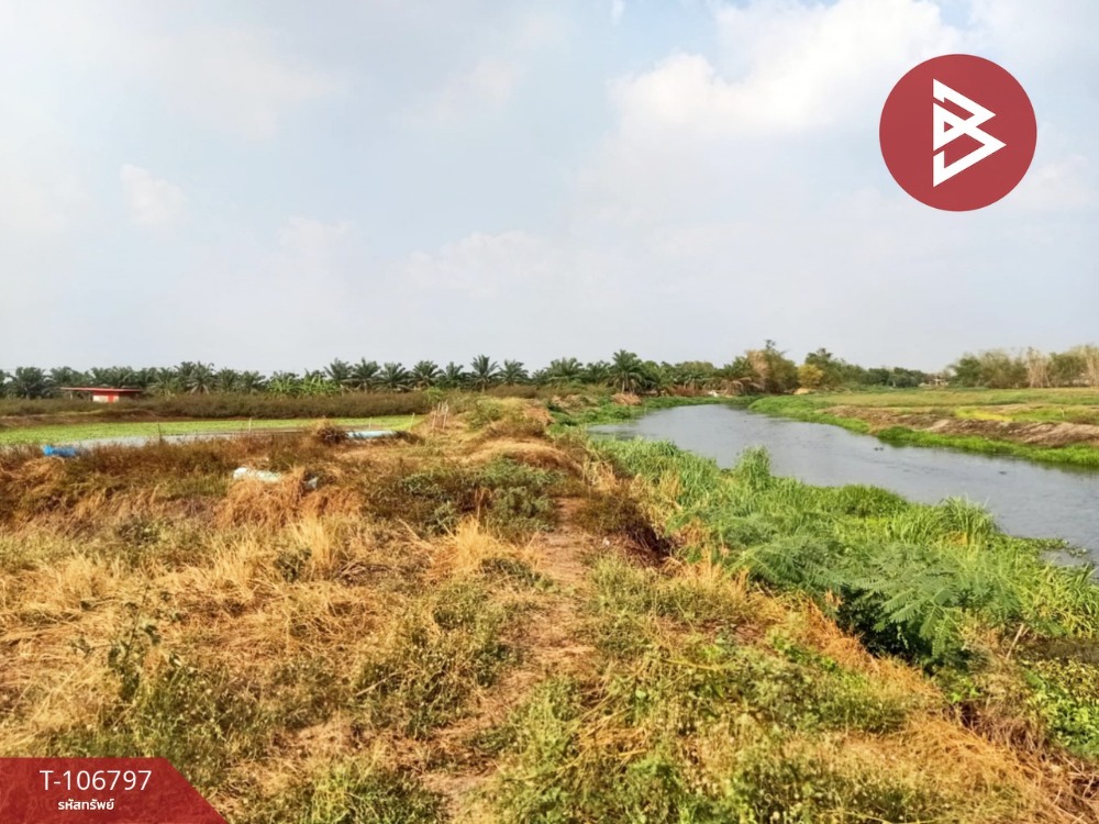 For SaleLandNakhon Nayok : Land for sale in an area of ​​7 rai 3 ngan 59.1 sq.w. Pak Phli, Nakhon Nayok