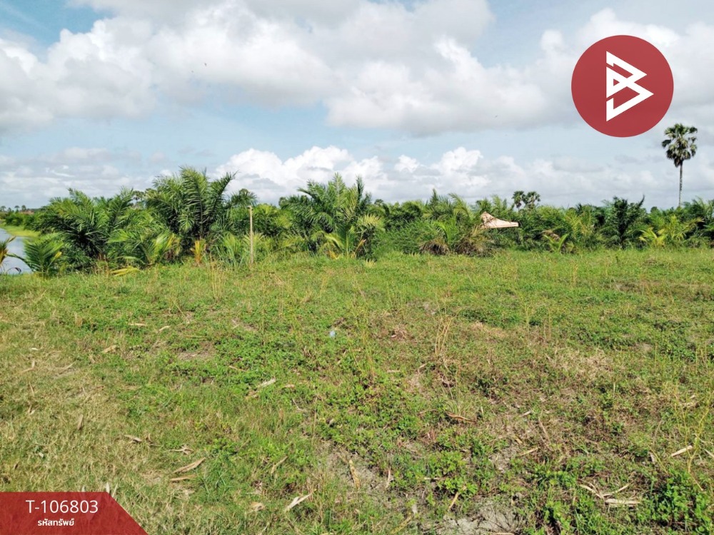 For SaleLandNakhon Si Thammarat : Land for sale in an area of ​​11 rai 3 ngan 17 sq.w., Hua Sai, Nakhon Si Thammarat