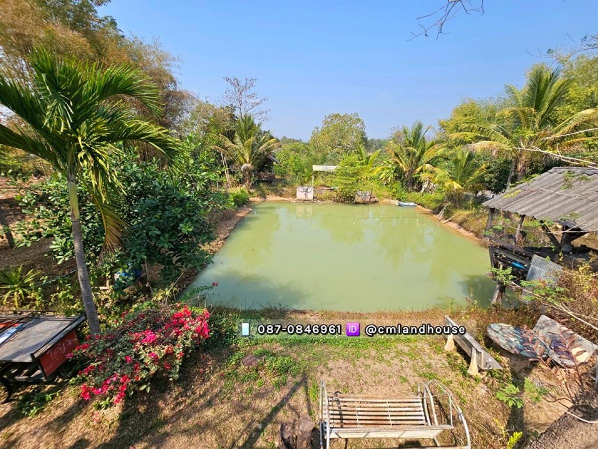 For SaleHouseChiang Mai : Baan Suan Suan Doi, 1 rai, plus possessing 2 jobs than Choeng Doi Sub -district, Doi Saket District, Chiang Mai Province, near Central Phase 18 km, near Highway 118, just 300 m.