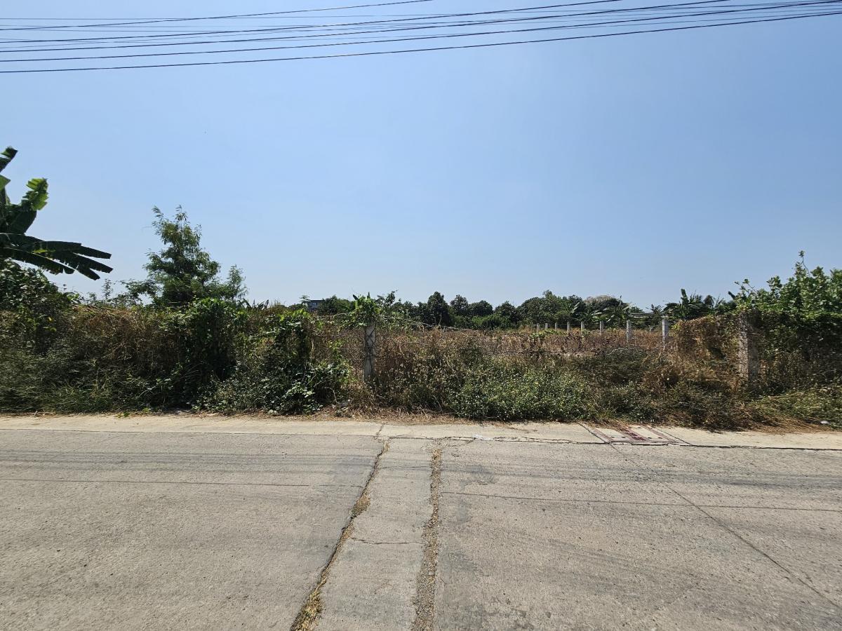 For SaleLandSamut Prakan,Samrong : Land reclamation and next to the concrete road, area of ​​200 square wah: Sisa Chorakhe Noi Subdistrict, Bang Sao Thong District, Samut Prakan Province