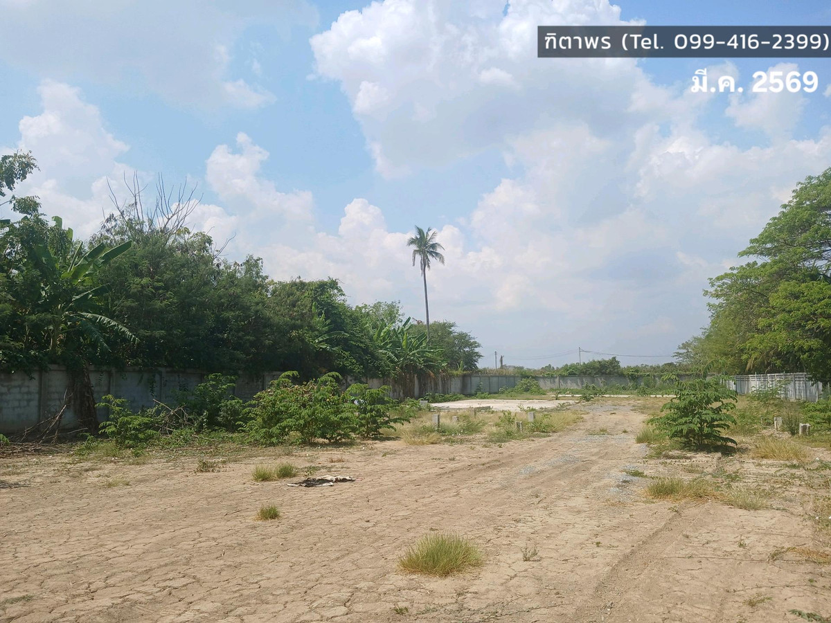 ให้เช่าที่ดินสุพรรณบุรี : 📍 ที่ดิน 2 ไร่ ให้เช่า ติดถนนมาลัยแมน ถมดิน + ล้อมรั้วแล้ว 🔥 สนใจทักเลย! 🔥