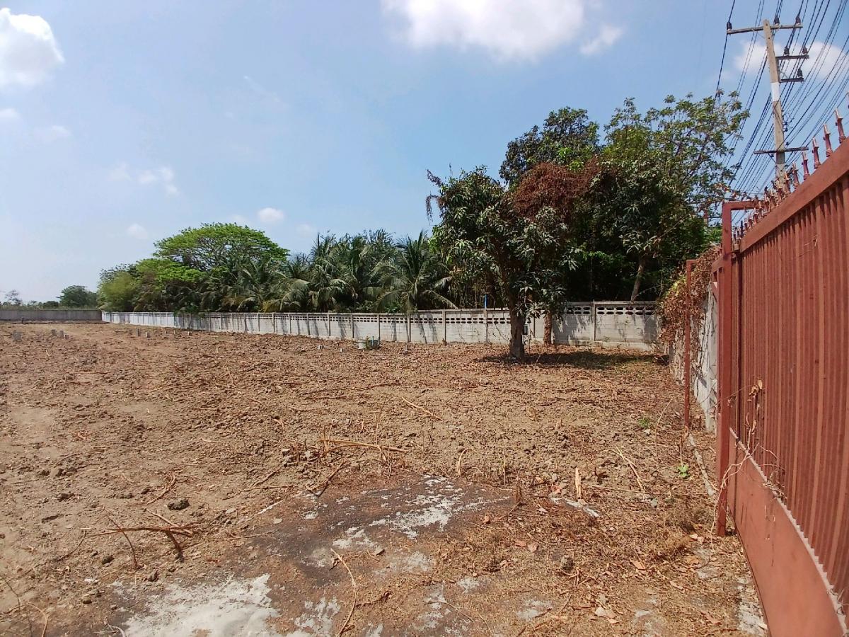 ให้เช่าที่ดินสุพรรณบุรี : 📍 ที่ดิน 2 ไร่ ให้เช่า ติดถนนมาลัยแมน ถมดิน + ล้อมรั้วแล้ว 🔥 สนใจทักเลย! 🔥