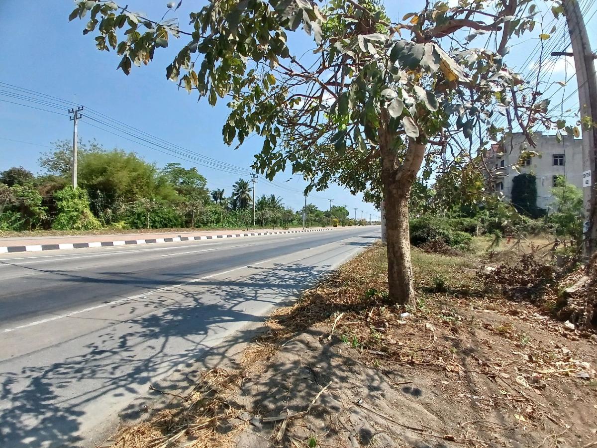 ให้เช่าที่ดินสุพรรณบุรี : 📍 ที่ดิน 2 ไร่ ให้เช่า ติดถนนมาลัยแมน ถมดิน + ล้อมรั้วแล้ว 🔥 สนใจทักเลย! 🔥