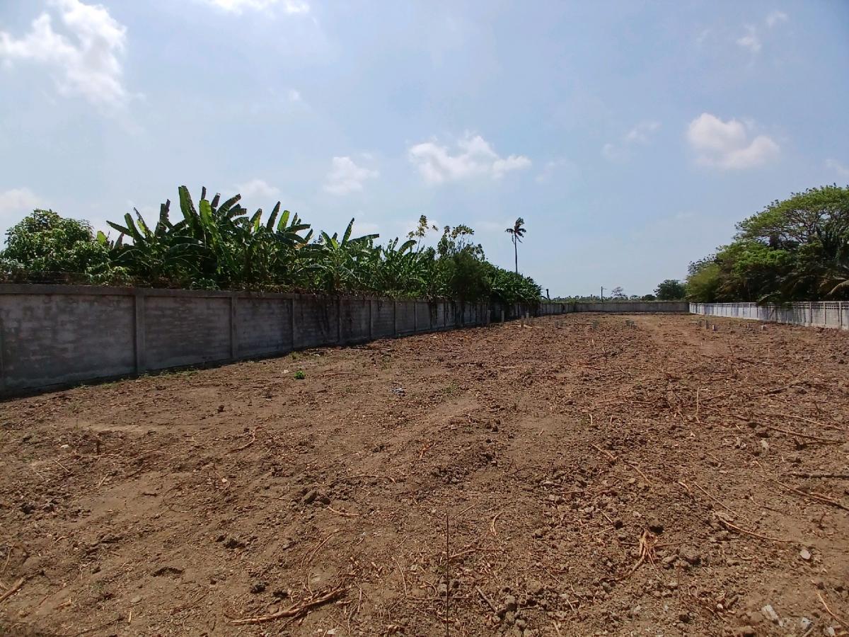 ให้เช่าที่ดินสุพรรณบุรี : 📍 ที่ดิน 2 ไร่ ให้เช่า ติดถนนมาลัยแมน ถมดิน + ล้อมรั้วแล้ว 🔥 สนใจทักเลย! 🔥