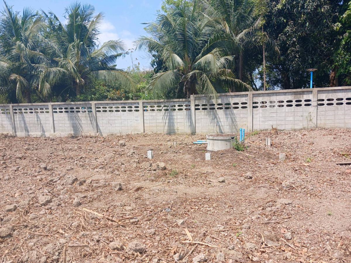 ให้เช่าที่ดินสุพรรณบุรี : 📍 ที่ดิน 2 ไร่ ให้เช่า ติดถนนมาลัยแมน ถมดิน + ล้อมรั้วแล้ว 🔥 สนใจทักเลย! 🔥