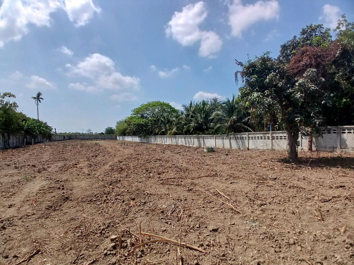 ให้เช่าที่ดินสุพรรณบุรี : 📍 ที่ดิน 2 ไร่ ให้เช่า ติดถนนมาลัยแมน ถมดิน + ล้อมรั้วแล้ว 🔥 สนใจทักเลย! 🔥