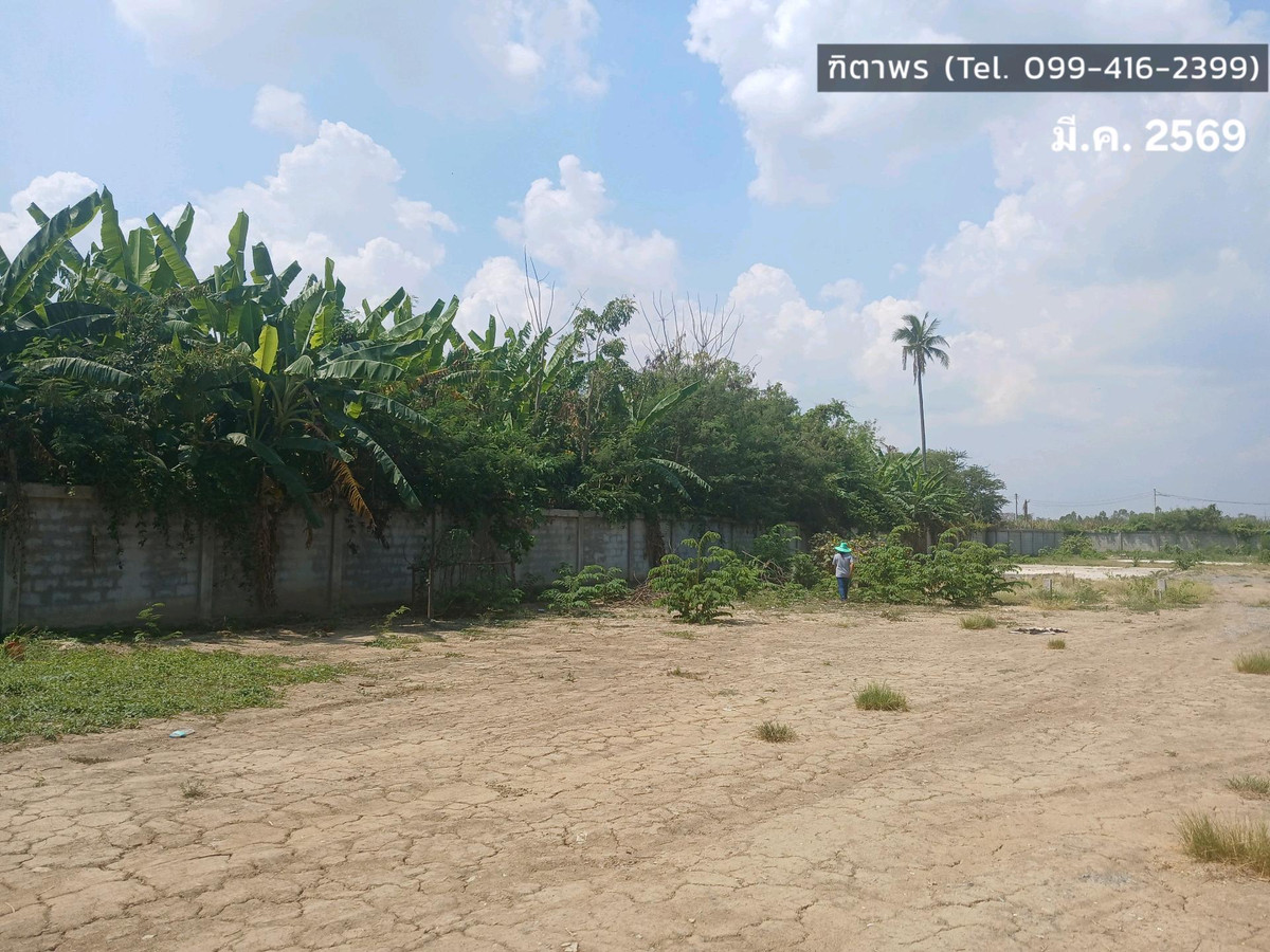 ให้เช่าที่ดินสุพรรณบุรี : 📍 ที่ดิน 2 ไร่ ให้เช่า ติดถนนมาลัยแมน ถมดิน + ล้อมรั้วแล้ว 🔥 สนใจทักเลย! 🔥