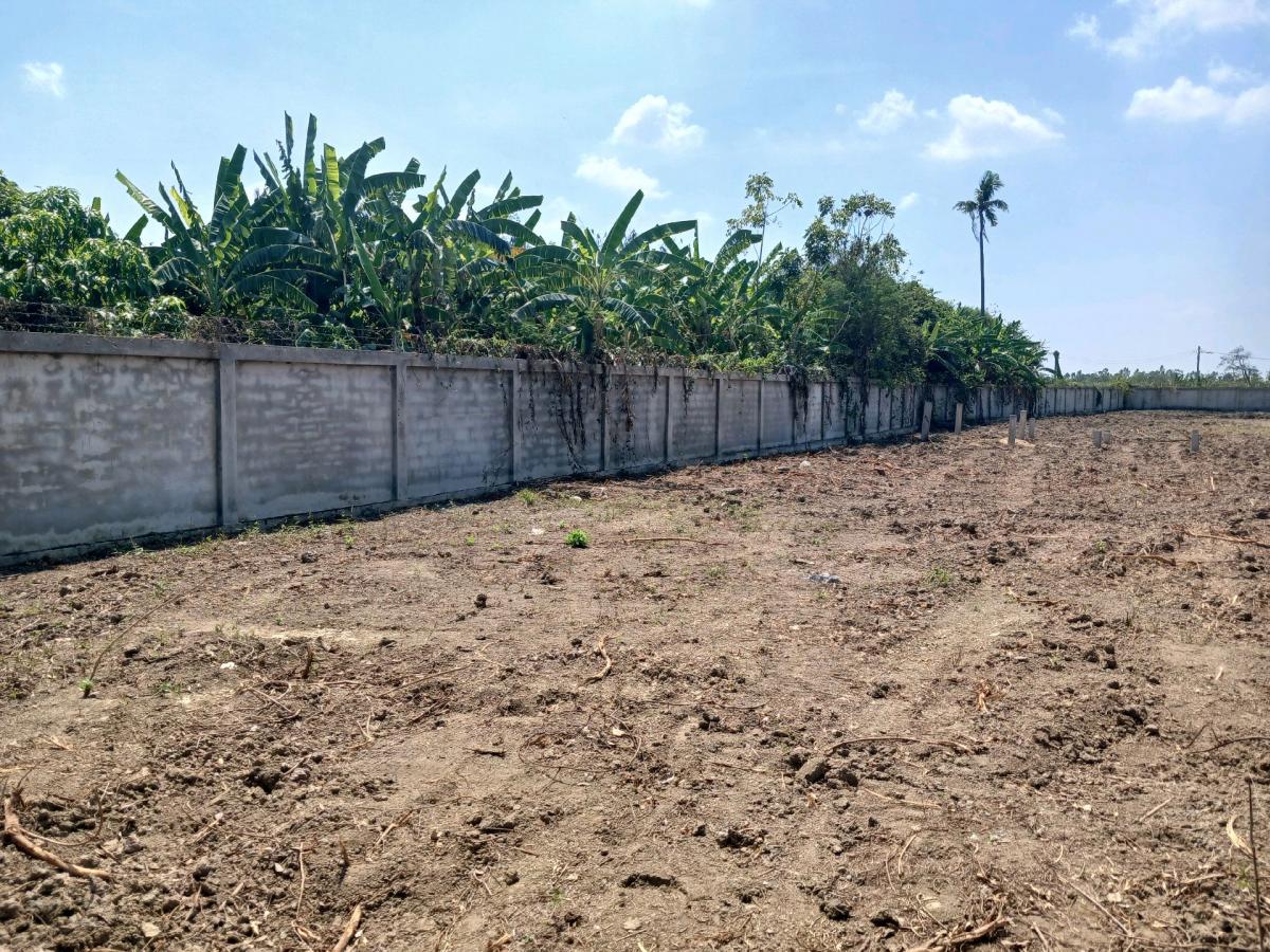 ให้เช่าที่ดินสุพรรณบุรี : 📍 ที่ดิน 2 ไร่ ให้เช่า ติดถนนมาลัยแมน ถมดิน + ล้อมรั้วแล้ว 🔥 สนใจทักเลย! 🔥