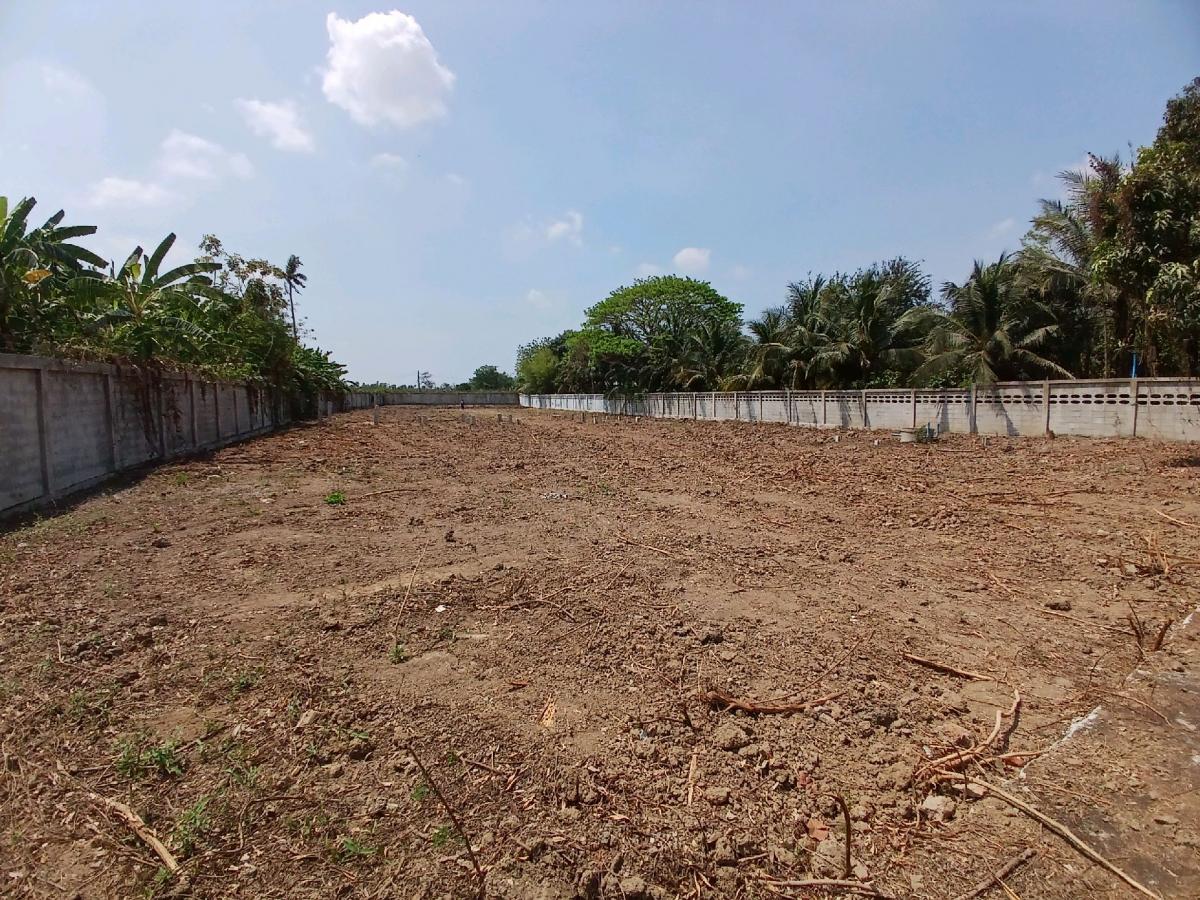 ให้เช่าที่ดินสุพรรณบุรี : 📍 ที่ดิน 2 ไร่ ให้เช่า ติดถนนมาลัยแมน ถมดิน + ล้อมรั้วแล้ว 🔥 สนใจทักเลย! 🔥