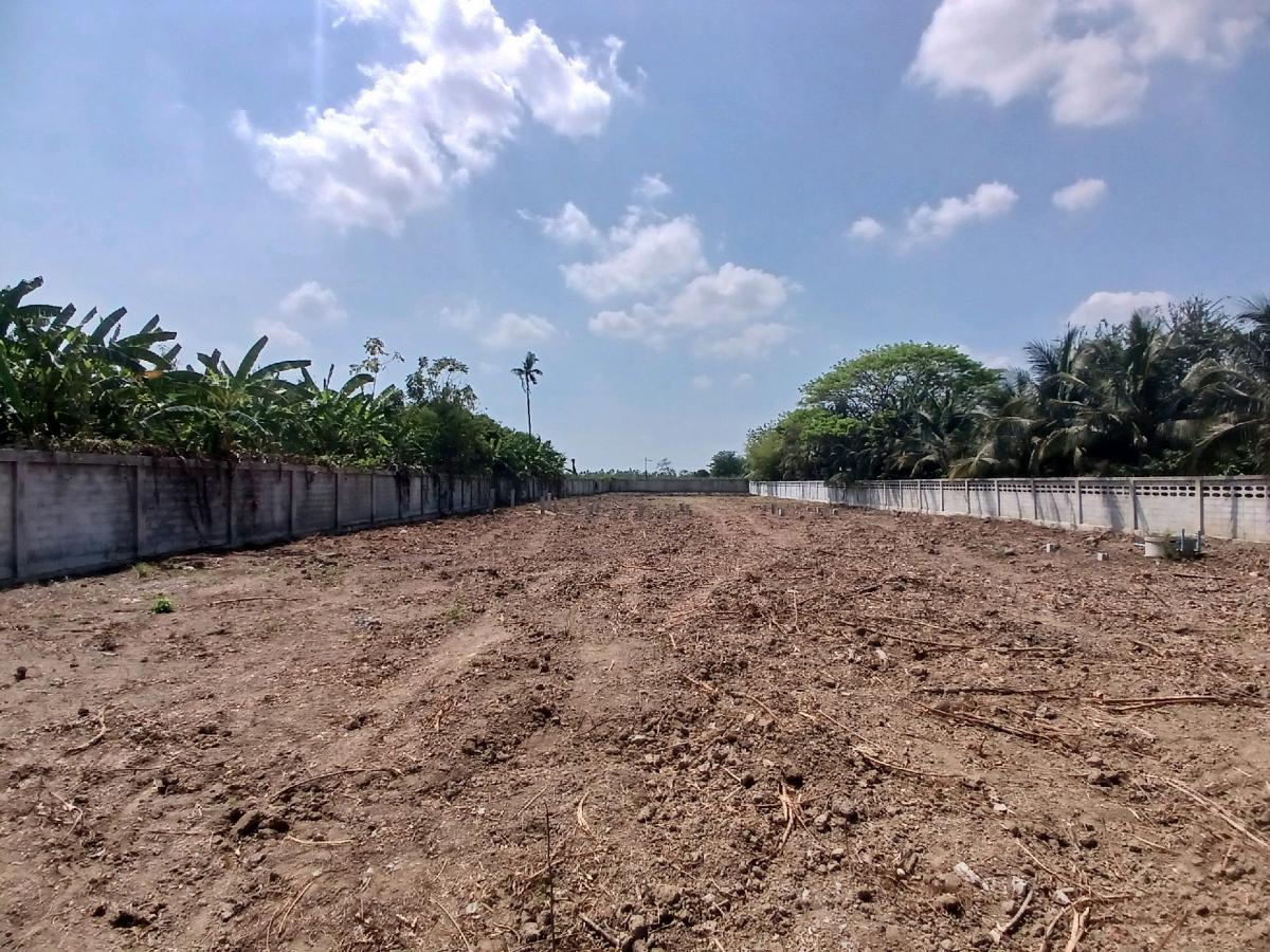 ให้เช่าที่ดินสุพรรณบุรี : 📍 ที่ดิน 2 ไร่ ให้เช่า ติดถนนมาลัยแมน ถมดิน + ล้อมรั้วแล้ว 🔥 สนใจทักเลย! 🔥