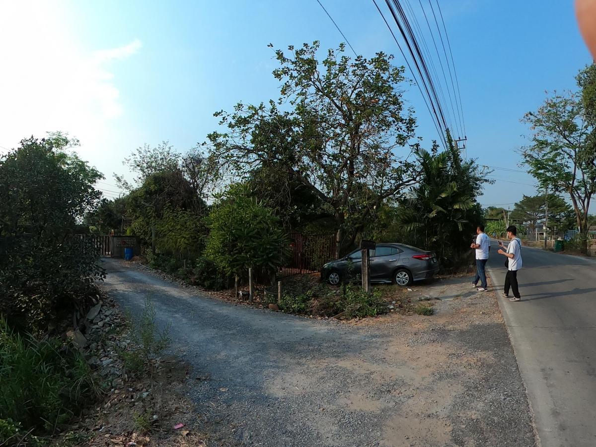 For SaleLandPathum Thani,Rangsit, Thammasat : Land for sale 4 rai 60 sq.w., Golden Lat Lum Kaeo, Pathum Thani