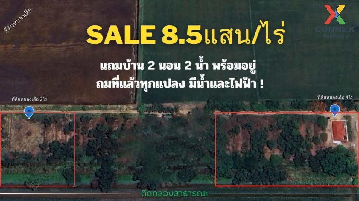 For SaleLandPathum Thani,Rangsit, Thammasat : For Sale Land Khlong 10 , wide frontage , Khlong Sip , Nong Suea , Pathum Thani , CX-94287