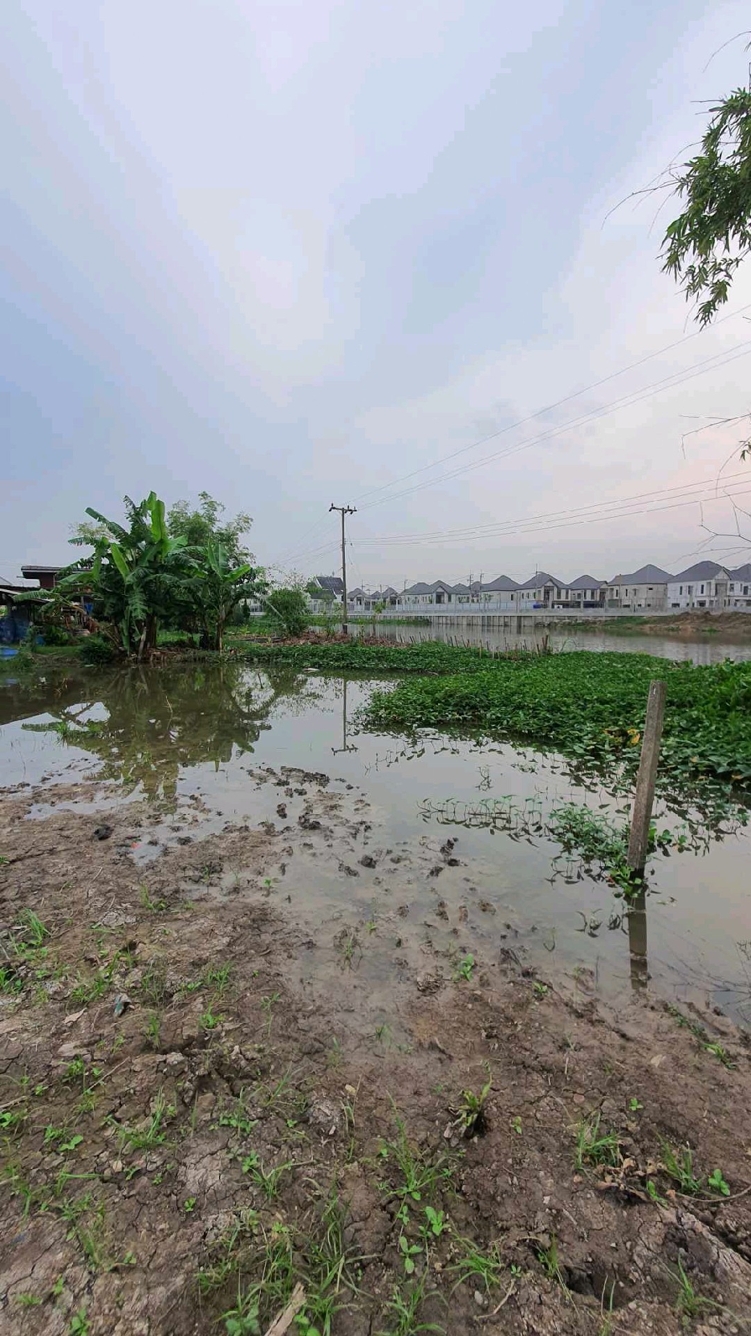 For SaleLandRama5, Ratchapruek, Bangkruai : Land for sale next to the canal Suitable for building a waterfront house