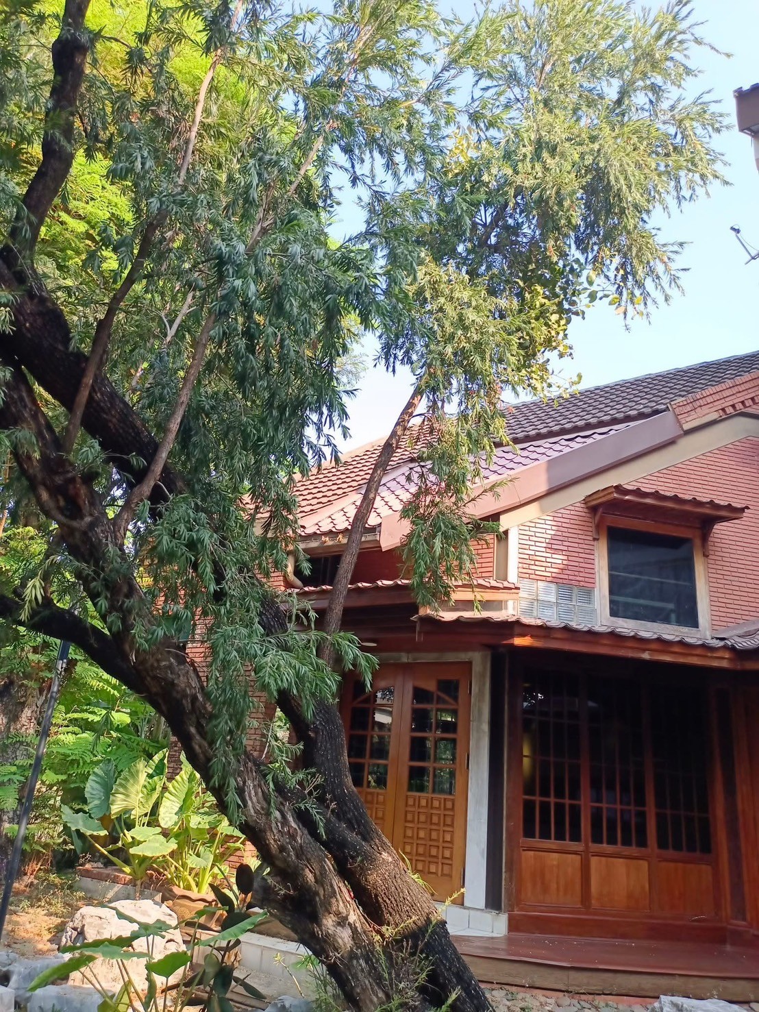 ให้เช่าบ้านพัฒนาการ ศรีนครินทร์ : พัฒนาการ บ้านให้เช่าค่ะ