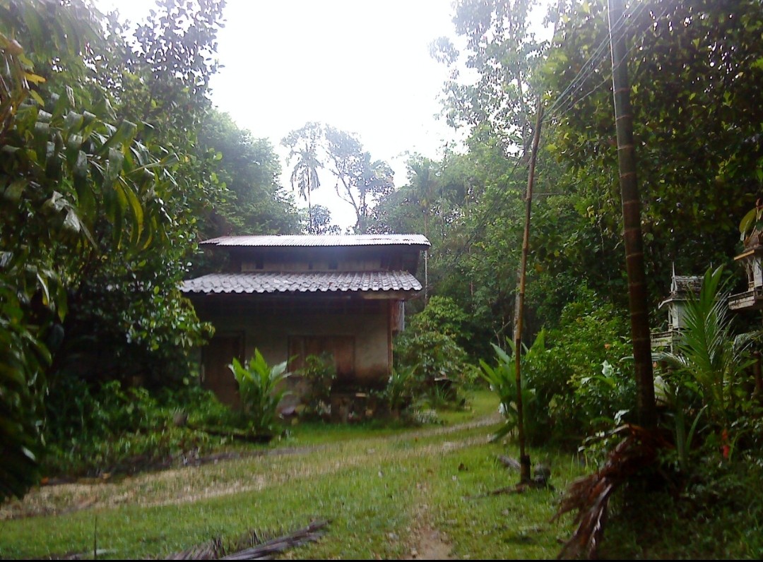 For SaleHousePhangnga : House and land for sale with 5 million houses