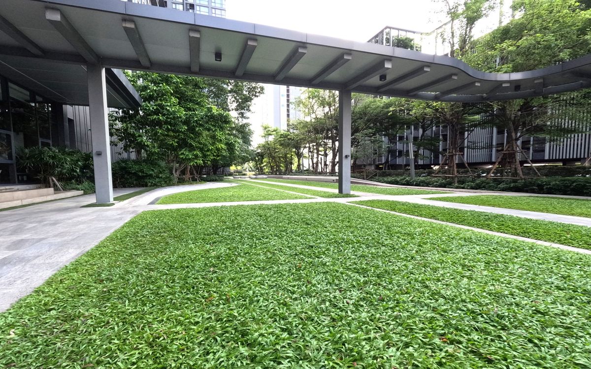 ขายคอนโดบางซื่อ วงศ์สว่าง เตาปูน : ขายคอนโด The Line วงศ์สว่าง ชั้นสูง วิวสวย พร้อมส่วนกลางครบ  ราคาต่ำกว่าตลาด! ใกล้ MRT วงศ์สว่าง เหมาะซื้ออยู่เองหรือลงทุน