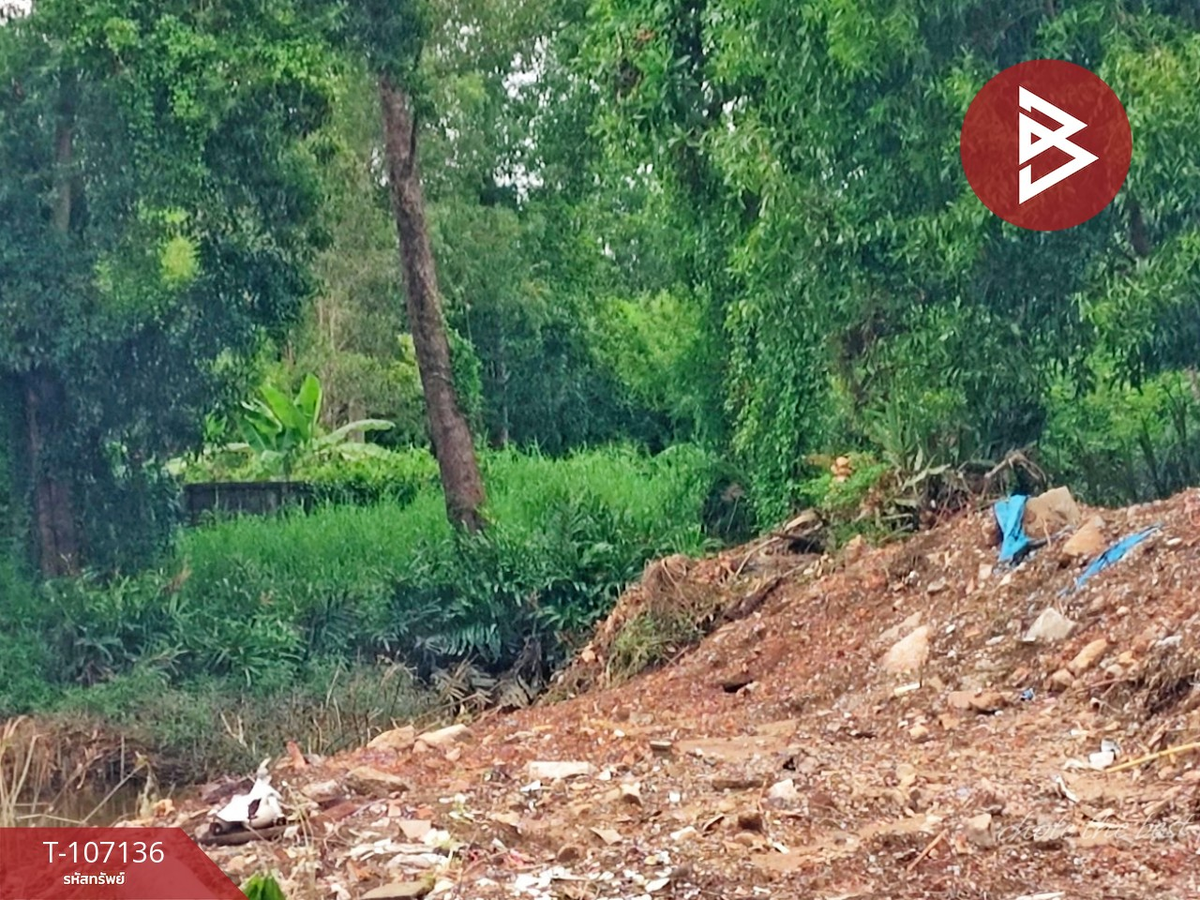 For SaleLandChanthaburi : Land for sale, area 3 rai 11 sq.wah, Tha Chang Chanthaburi