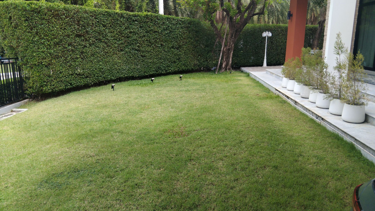 ขายบ้านพระราม 2 บางขุนเทียน : ขายบ้าน The Grand Rama 2 เนื้อที่ 145 ตรว.#แถมระบบโซล่าร์เซลส์  ราคา 29.50 ลบ. #หัวมุม #ตกแต่งสุดหรู #โซนCourtYard พื้นที่ใช้สอย 451 ตรม.