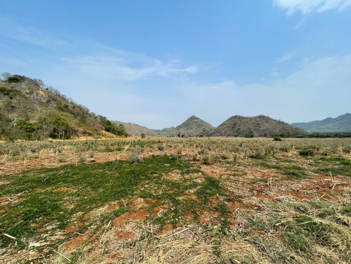 ขายที่ดินสระบุรี : ที่ดินเปล่า 13-3-78 ไร่ ตำบลพุคำจาน อำเภอพระพุทธบาท จังหวัดสระบุรี