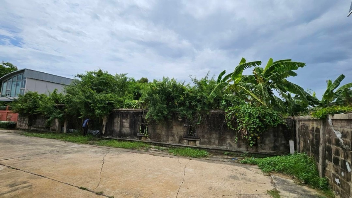 For SaleLandPinklao, Charansanitwong : 🌿 Land for sale, beautiful house, beautiful plot - Village, Pha Su Suk Soi 7 (corner at the end of the alley) Taling Chan 🌿 🔥 Special price only 6.5 million baht (All in) |! 🔥