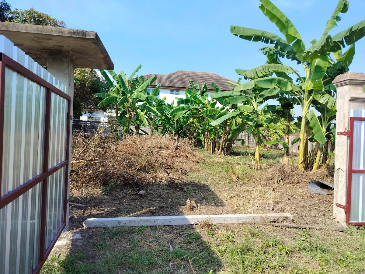 For SaleLandPinklao, Charansanitwong : 🌿 Land for sale, beautiful house, beautiful plot - Village, Pha Su Suk Soi 7 (corner at the end of the alley) Taling Chan 🌿 🔥 Special price only 6.5 million baht (All in) |! 🔥