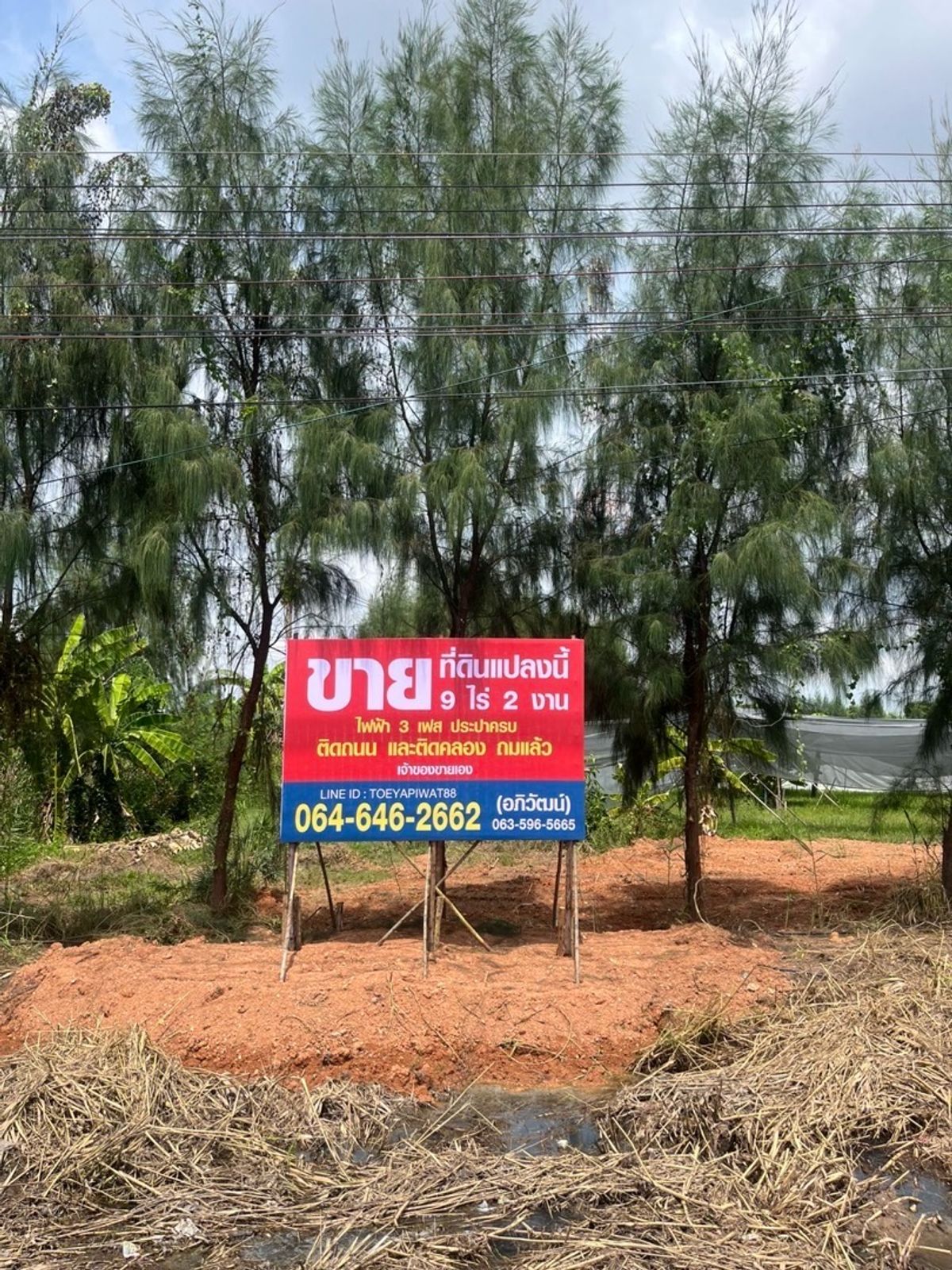 For SaleLandChachoengsao : Land for sale of 9 rai 1 ngan 28, Rangwa, 3200 Road, Chachoengsao-Bang Nam Priao With durian garden