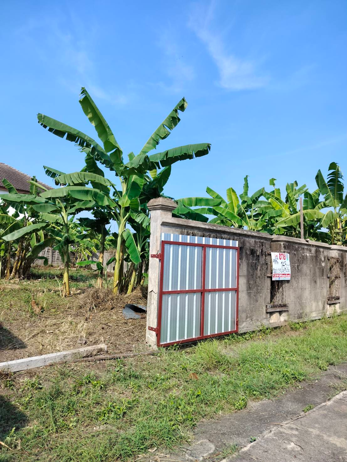 For SaleLandPinklao, Charansanitwong : 🌿 Land for sale, beautiful house, beautiful plot - Village, Pha Su Suk Soi 7 (corner at the end of the alley) Taling Chan 🌿 🔥 Special price only 6.5 million baht (All in) |! 🔥