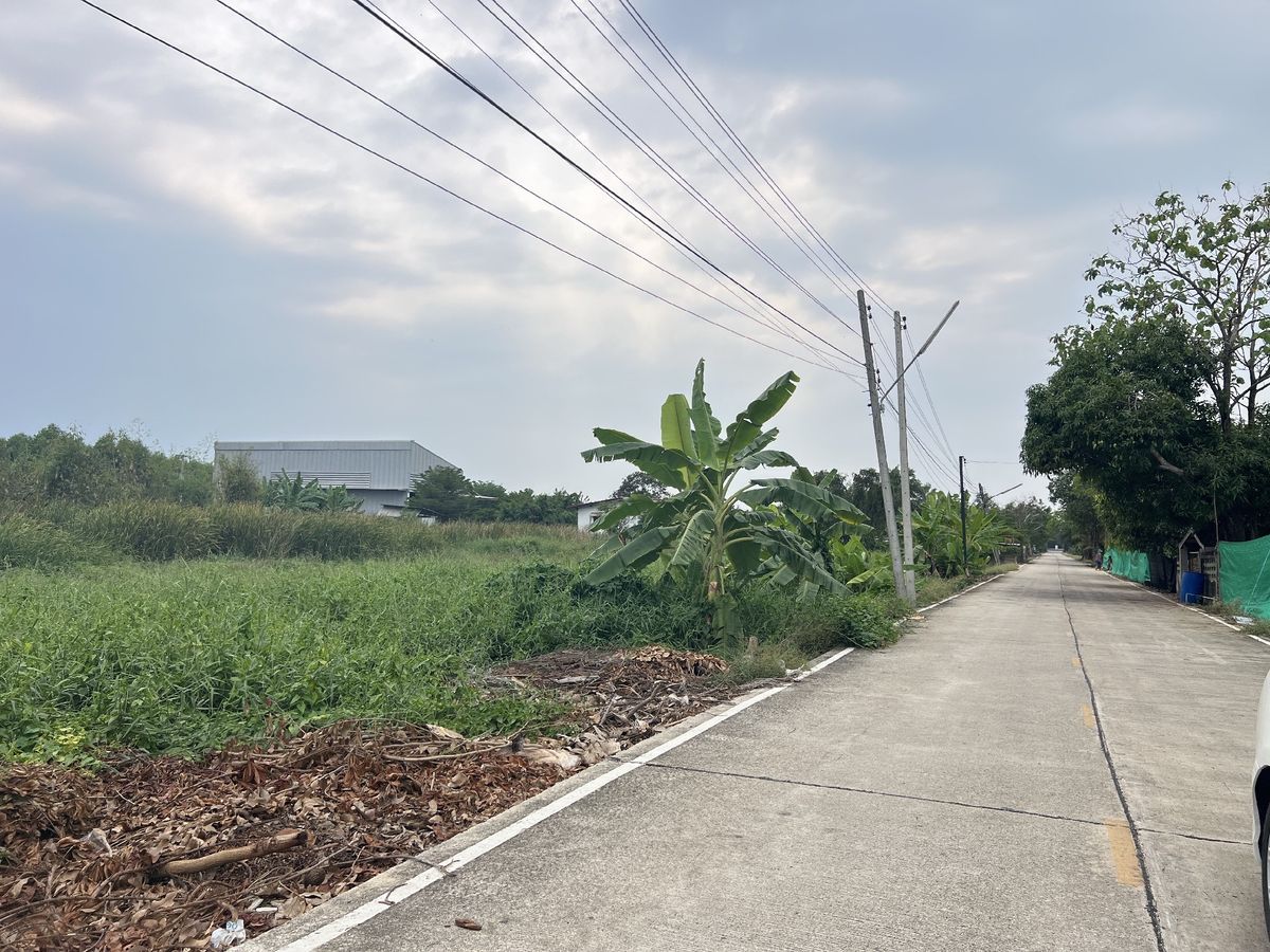 For SaleLandPathum Thani,Rangsit, Thammasat : 1 rai of land for sale, cheap, Khlong 10, Nong Suea Maklai, Bueng Ba, electric water through the soil