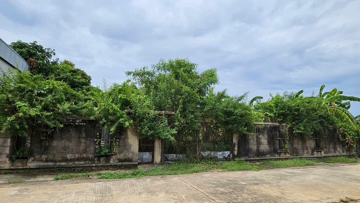 For SaleLandPinklao, Charansanitwong : 🌿 Land for sale, beautiful house, beautiful plot - Village, Pha Su Suk Soi 7 (corner at the end of the alley) Taling Chan 🌿 🔥 Special price only 6.5 million baht (All in) |! 🔥